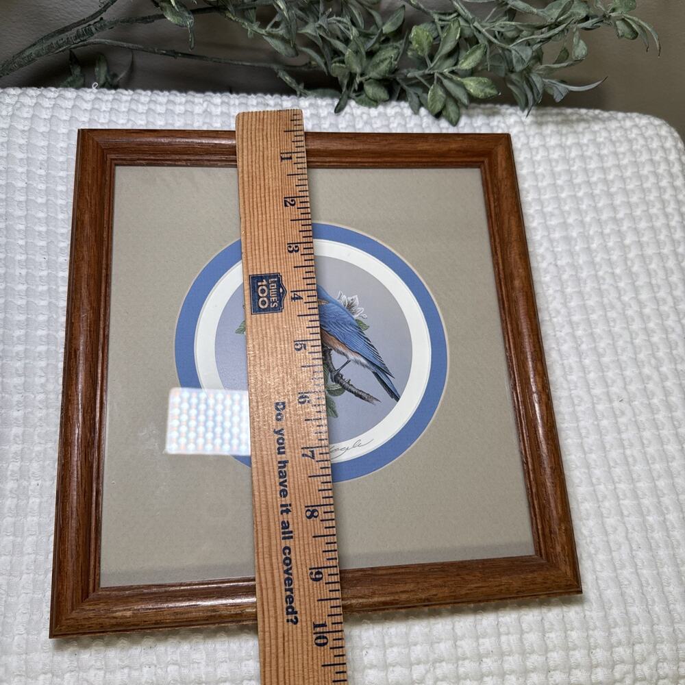 Don Breyfogle Eastern Bluebird Framed Wildlife Print 1988 9.6” x 9.4” Vintage - Picture 10 of 12